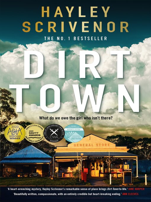 Cover image for Dirt Town